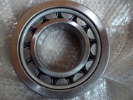 High Precision Double Row Cylindrical Roller Bearing 100mm Bore Nylon Cage